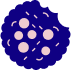 Cookie Icon